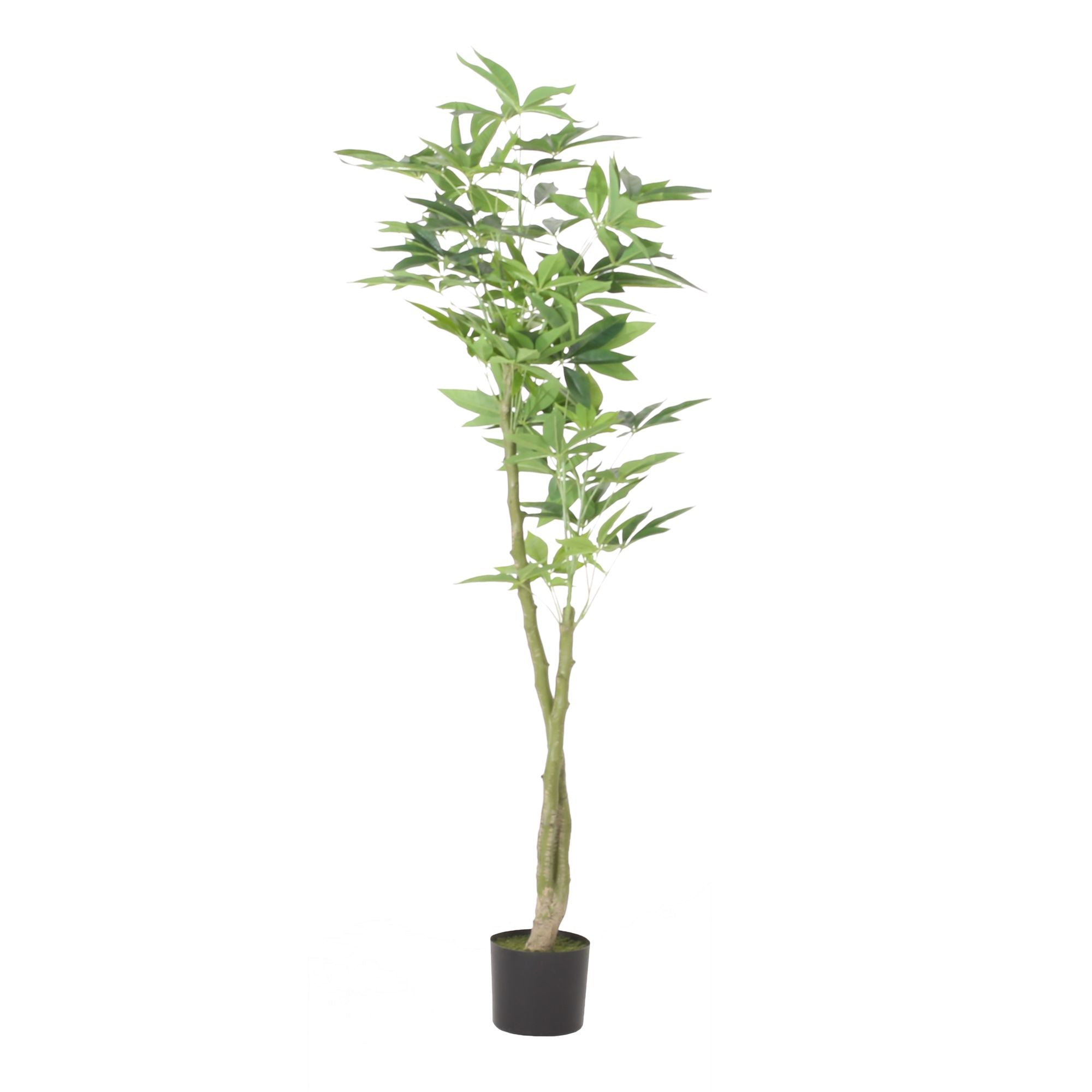 63 Inch Artificial Pachira Money Tree for Office Home Living Room Floor Patio Greening Porch Decor