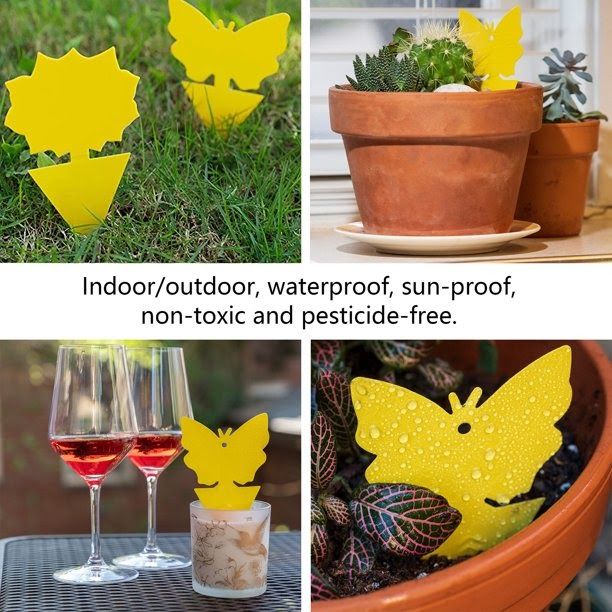 18/48 Pack Sticky Fruit Fly Trap and Fungus Gnat Traps Killer for Indoor and Outdoor, Protect The Plant, Non-Toxic and Odorless