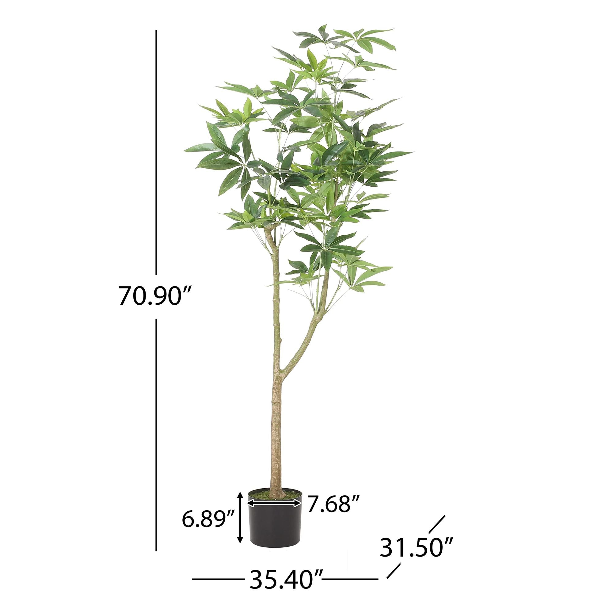 70.9 Inch Artificial Pachira Money Tree