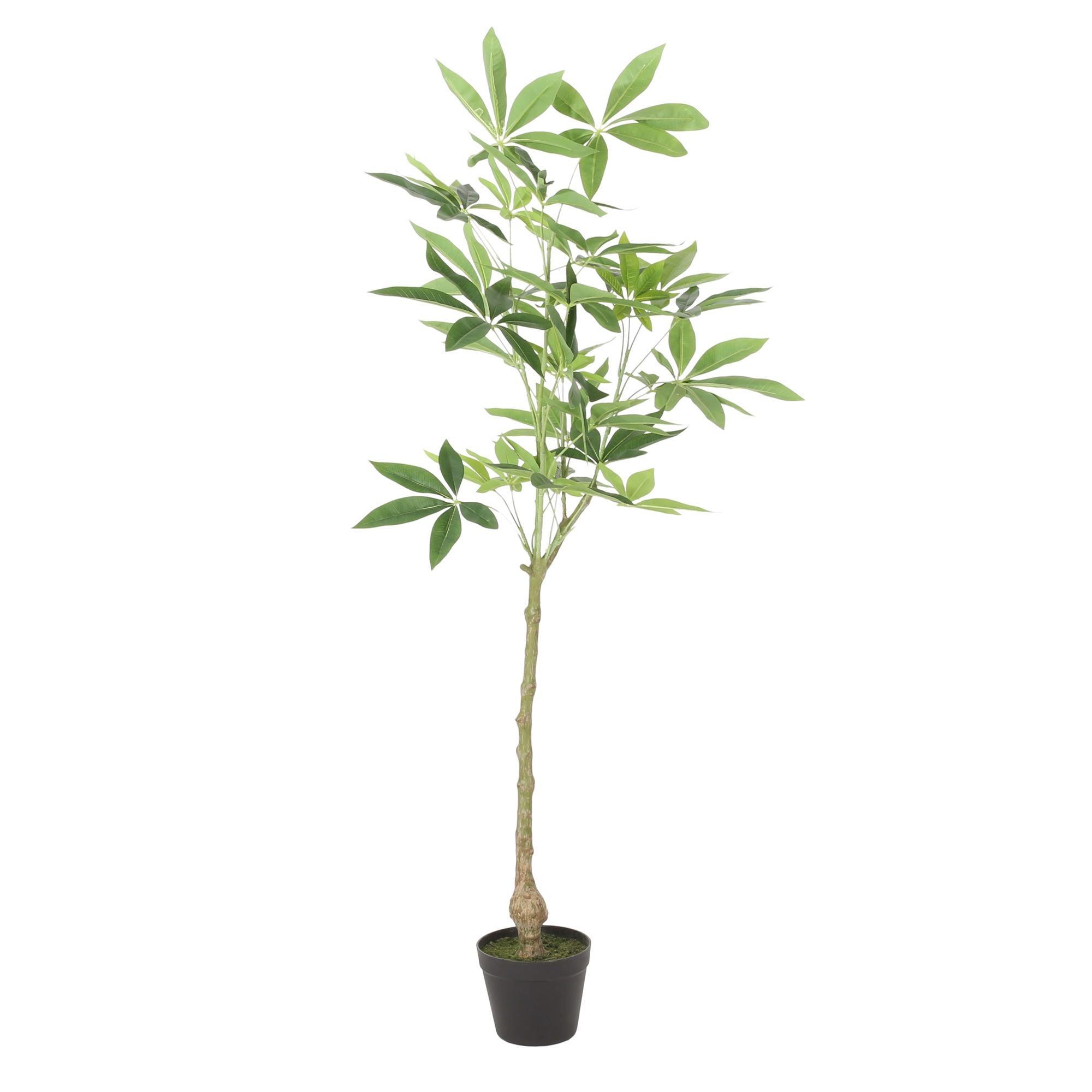 47.2 Inch Artificial Money Tree Pachira Plants